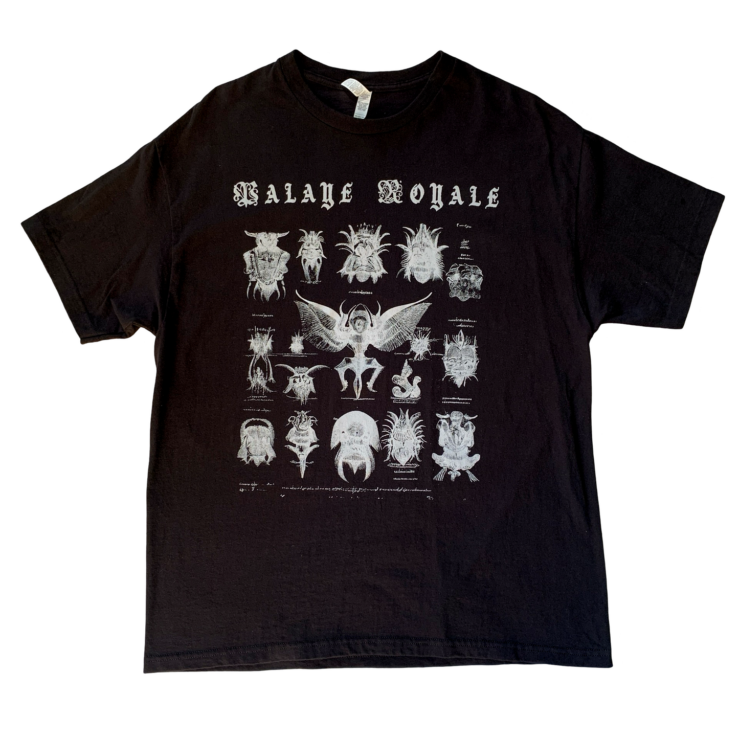 Specimen Bug Shirt