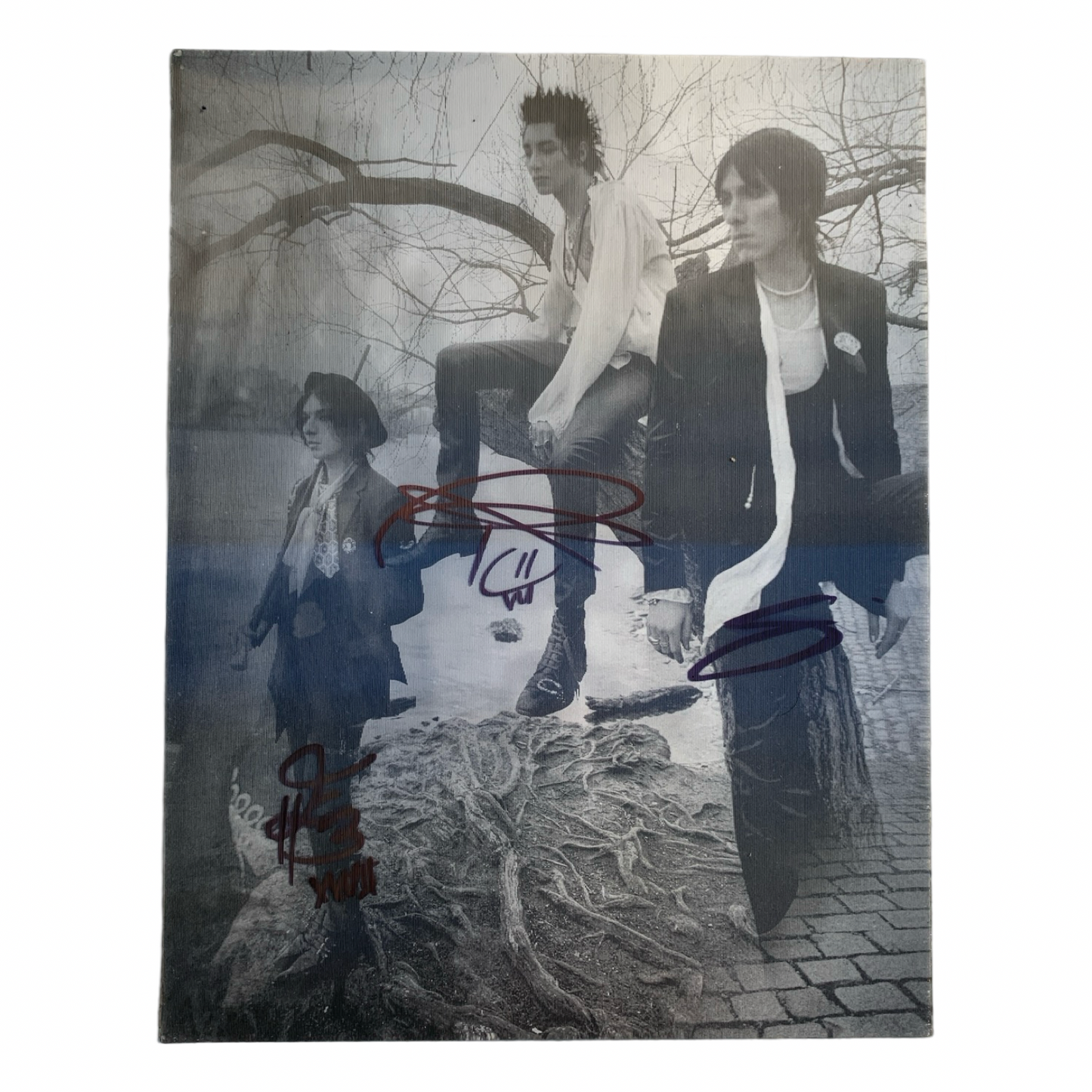 3D Fever Dream Poster - Signed