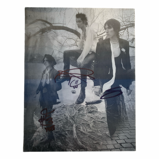 3D Fever Dream Poster - Signed