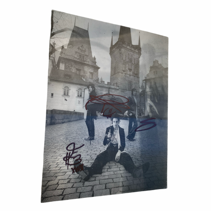 3D Fever Dream Poster - Signed